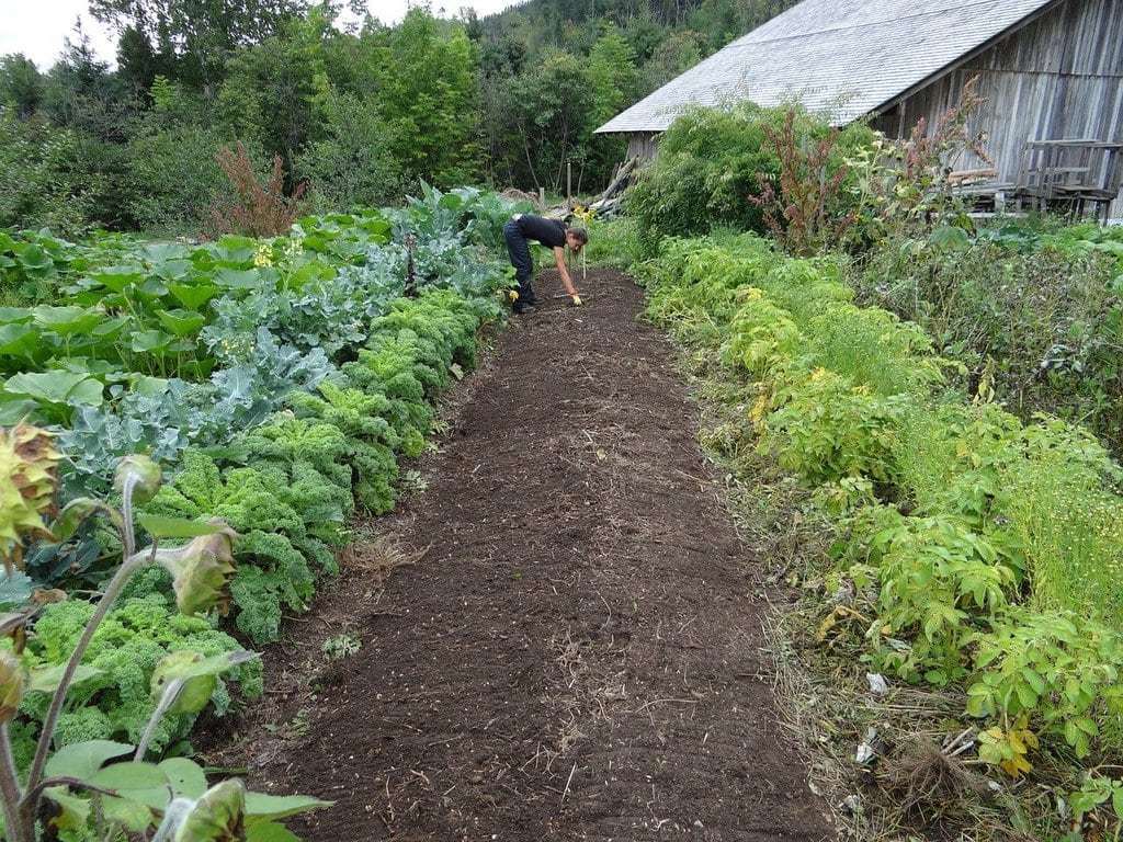 Apprendre à tirer parti de chaque mètre carré du jardin